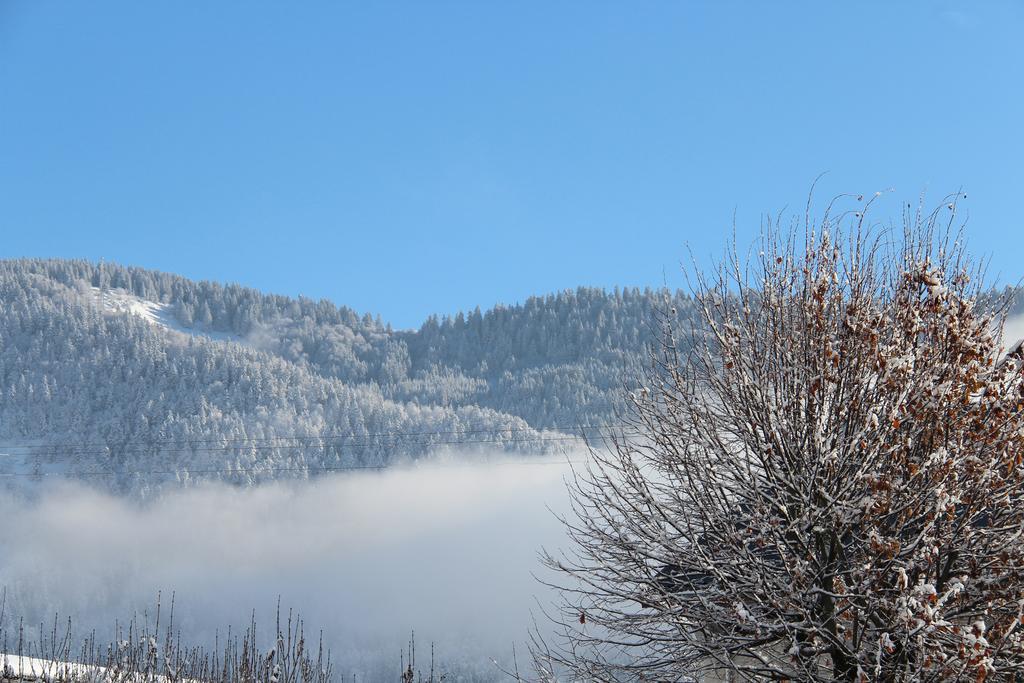 Hotel La Tapia Autrans-Meaudre-en-Vercors Luaran gambar